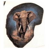 Painted African Elephant Ear Taxidermy By Madeline