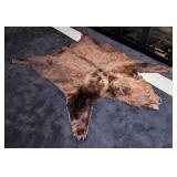 Romanian Brown Bear Pelt Taxidermy Rug w/ Carpet B
