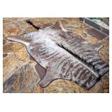 Blue Wildebeest Hide Taxidermy Rug w/ Black Carpet