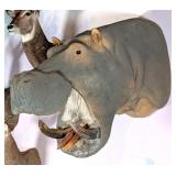 African Hippo Shoulder Mount Taxidermy