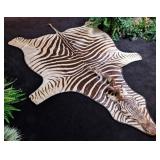 African Zebra Hide Rug Taxidermy w/ Carpet Backing
