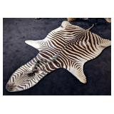 African Zebra Hide Rug Taxidermy w/ Carpet Backing