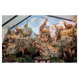 Entire Taxidermy Habitat Rock Wall
