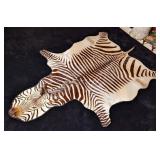 Taxidermy Mountain Zebra Rug INDIANA RESIDENTS ONL