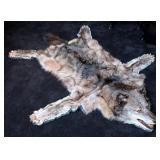 Gray Wolf Pelt Taxidermy Rug w/ Felt Backing