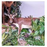 Black Buck Full Body Taxidermy Mount on Rolling Ha