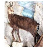 Alpine Chamois Full Body Taxidermy Mount No Base