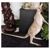 Australian Male Wallaby Full Body Taxidermy Mount