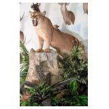Mountain Lion/Cougar Full Body Taxidermy Mount on