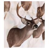 9-Point Mexican Whitetail Deer Shoulder Mount Taxi