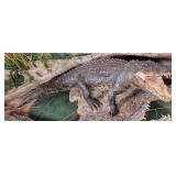11 Foot Nile Crocodile from Botswana Full Body Tax