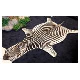 Taxidermy Zebra Rug with Carpet Backing and D Ring