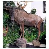 Melanistic Blue Wildebeest Full Body Taxidermy Mou