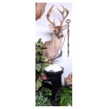 16 Point Non-Typical Whitetail Shoulder Mount Taxi