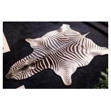 Zebra Rug Mount Taxidermy