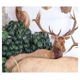 7x7 Bull Elk Full Body Taxidermy Mount on Rolling
