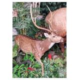 Axis Deer Full Body Taxidermy Mount on Rolling Woo