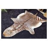 RARE Mountain Zebra Rug INDIANA RESIDENTS ONLY