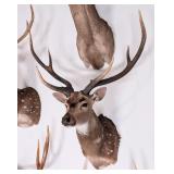 Axis Deer Shoulder Mount Taxidermy