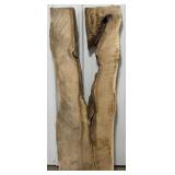 55" x 21" x 2" Maple Slab