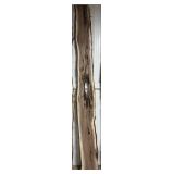 142" x 15" x 1-3/4" Walnut Slab