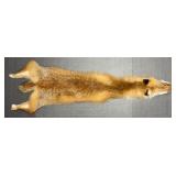 38" Fox Pelt