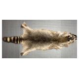 41ï¿½ Raccoon Pelt
