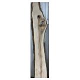 98" x 16" x 2" Maple Slab