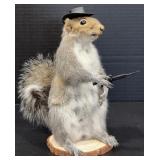 Eastern Gray Squirrel Taxidermy Mount