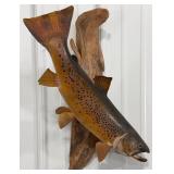 Brown Trout Taxidermy Mount
