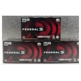 Federal American Eagle .223 REM Centerfire Rifle C
