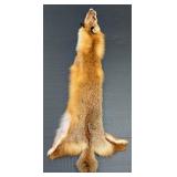35" Red Fox Pelt