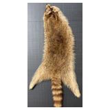 41" Raccoon Pelt