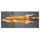 45" Red Fox Pelt