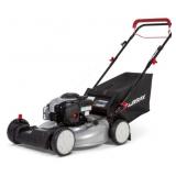 Murray 22" 2-in-1 Self Propelled FWD Gas Lawn Mow
