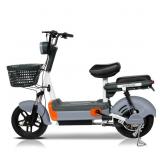 Onshine Two-Wheeled 48V Electric Vehicle