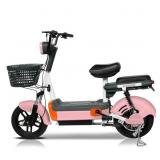 Onshine Two-Wheeled 48V Electric Vehicle