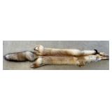 47" Fox Hide