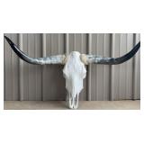 44" Longhorn Skull & Horns
