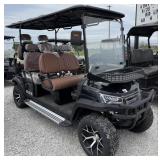 BRAND NEW 2025 SDLANCH SDLGC100 60V Golf Cart