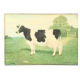 Vintage SS Holstein-Friesian Cow True Type Adverti