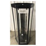 (AN) Black hexagon pool cue display case