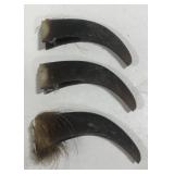 (BJ) Claws Measuring approx 3" Long