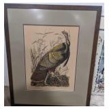 (AN) Wild Turkey framed plate picture
