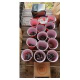 Large Lot of Hardware including screws, bolts,