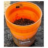 5 gallon bucket half full of bolts