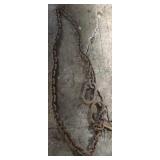 Log Chain with 2 o rings