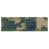 Over 130 Acres with Lake Frontage offered in 4 Tracts 
