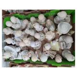 25pc Precious Moments Figurines No Boxes