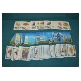 Topps Farm, Geology, & City Scape Collector Cards